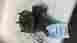 515-00168r 1305147 Wrangler 2007-2014 Jeep Passenger Frt Spindle Knuckle 4x2