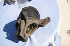 28313ae020 Subaru 2001 Outback Right Front Spindle