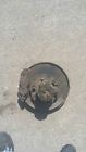 Land Cruiser Passenger Right Front Spindle Hub Landcruis