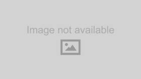 5255 Qa1 79-04 Ford Mustang Upper Adjustable Trailing Arms