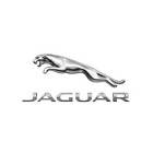 T4a1012 Jaguar Genuine Arm-wishbone