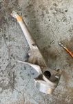 Nos Genuine Porsche Rear Left Trailing Arm 91133151307. Fixed Price $1999.99.