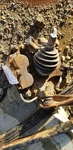 Passenger Front Spindle/knuckle Fits 01-07 Sierra 1500 Pickup 2068803. Fixed Price $85.00.
