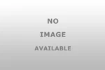Dorman Control Arm 522912 - Precision Engineered Performance. Fixed Price $130.99.