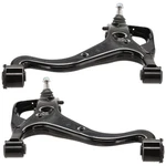 Set Of 2 Control Arms Front Driver & Passenger Side Lower With Bushing(s) Pair. Fixed Price $220.56.