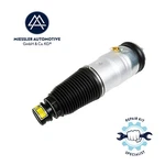 Tesla Model Strut / Shock Absorber Air Suspension Front. Fixed Price $372.54.