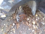 Driver Left Front Spindle Knuckle Fits 06-18 Rav 3760934. Fixed Price $50.00.