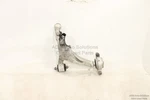2017 - 2022 Infiniti Q60 Front Lower Right Passenger Side Control Arm Oem. Fixed Price $139.00.