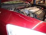 Driver Lower Control Arm Rear Front Disc Fits 03-07 Accord 391925. Fixed Price $103.05.