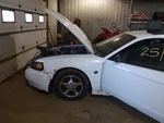Lower Control Arm Rear 8 Cylinder Gt Fits 99-04 Mustang 2105466. Fixed Price $95.00.