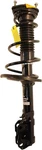 Rear Passenger Side Oes Suspension Strut And Coil Spring Kit Kyb SR4257. Fixed Price $255.09.